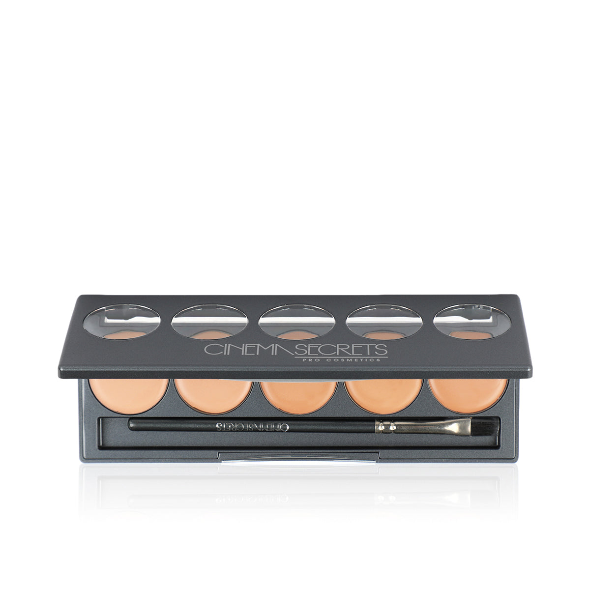 Ultimate Foundation 5-In-1 Pro Palette 500B Series